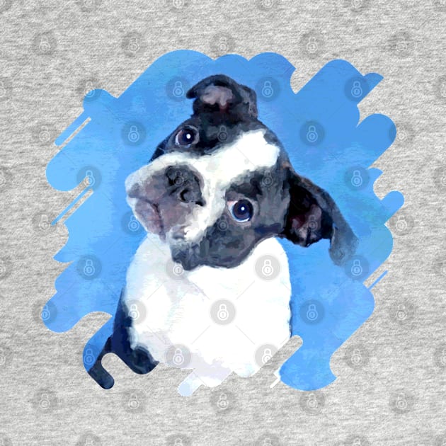 Cute Boston Terrier Puppy by Nartissima